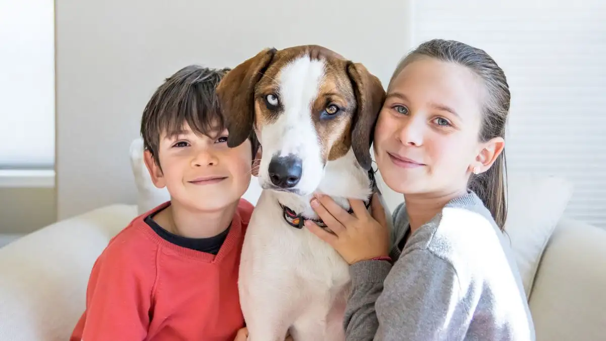Tu perro rescatado puede aprender a convivir con niños